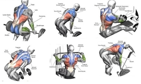 You are currently viewing Body Weight Inverted Row – The Back Exercise your aren’t doing