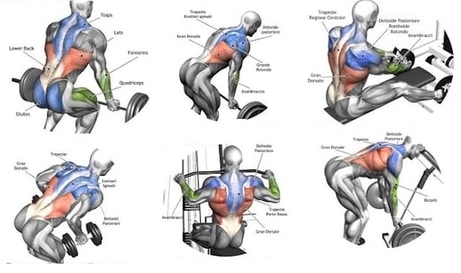 Body Weight Inverted Row - The Back Exercise your aren't doing - 50 ...